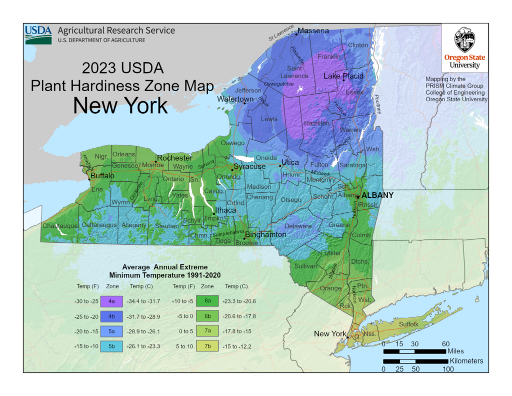 Shows growing zones in the State of New York