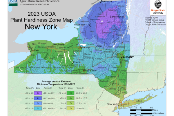 Shows growing zones in the State of New York