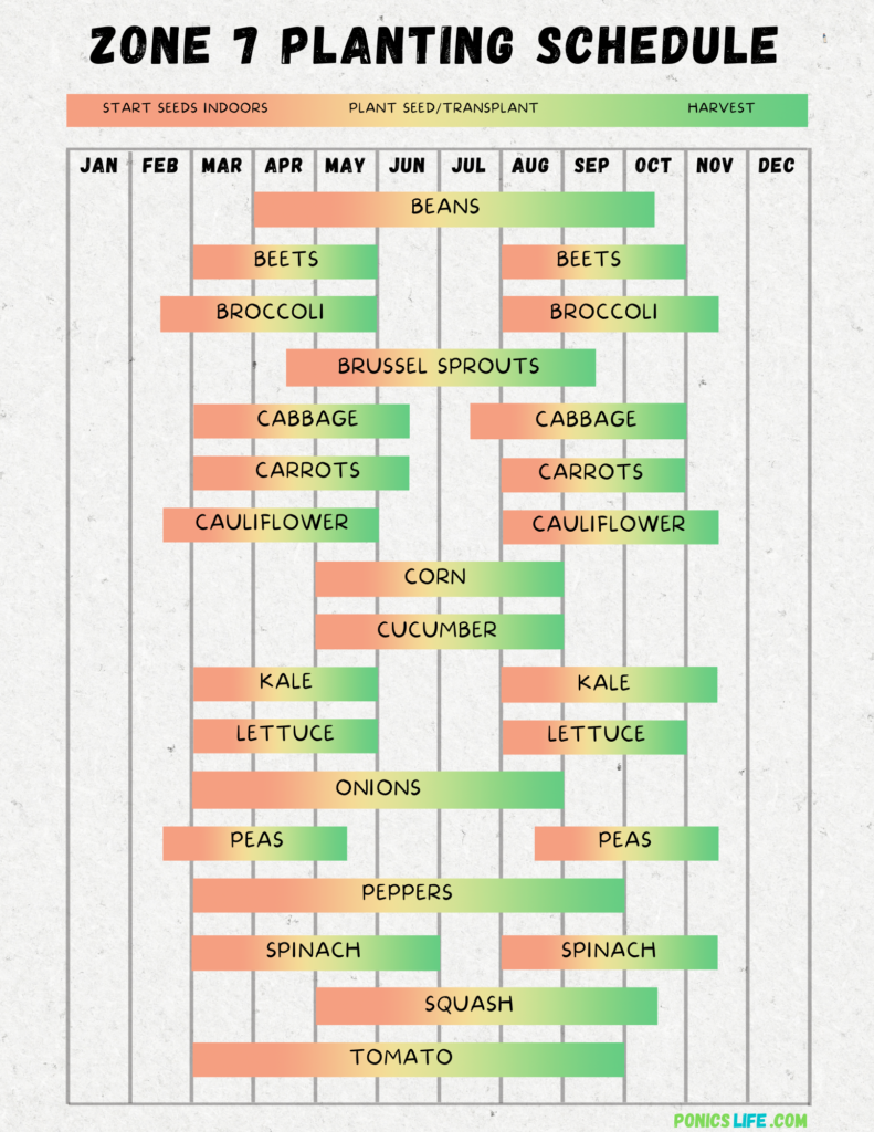 Maryland Vegetable Planting Calendar A Quick And Easy Guide