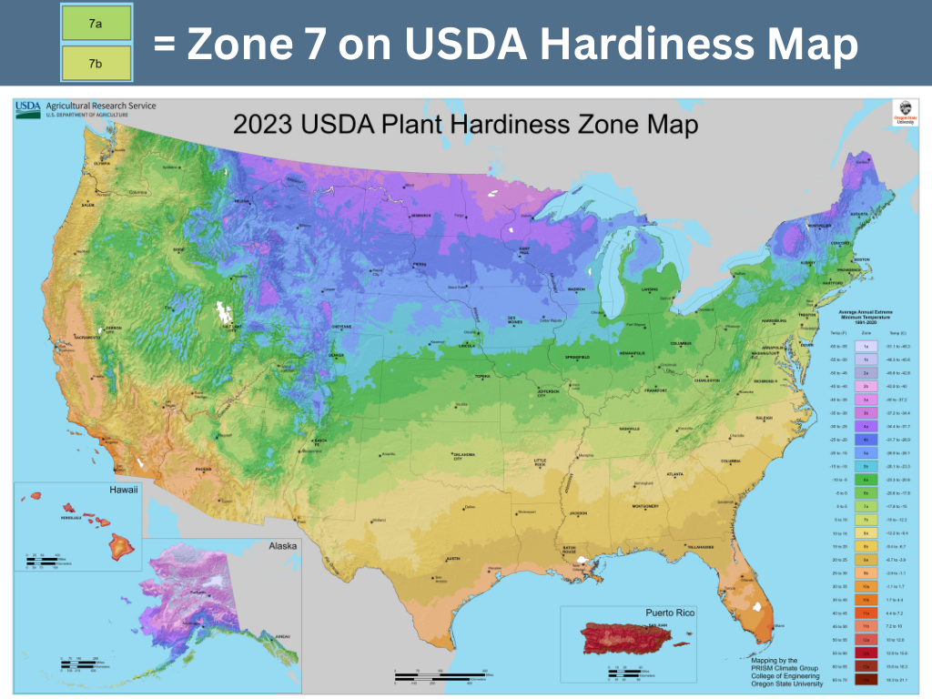 Map showing where zone 7 is on the USDA Zone Hardiness Map