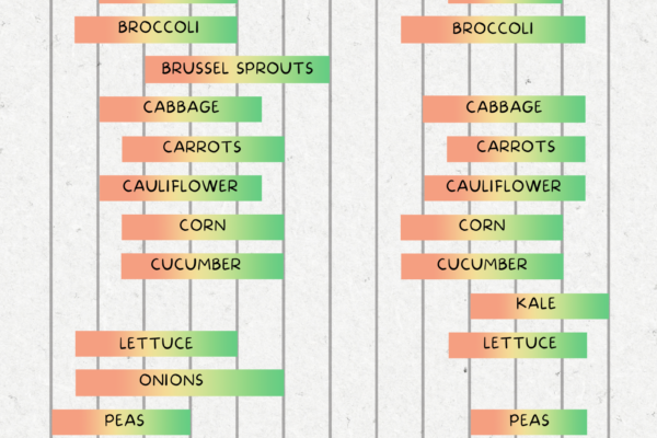 Shows what and when to plant if growing in zone 9