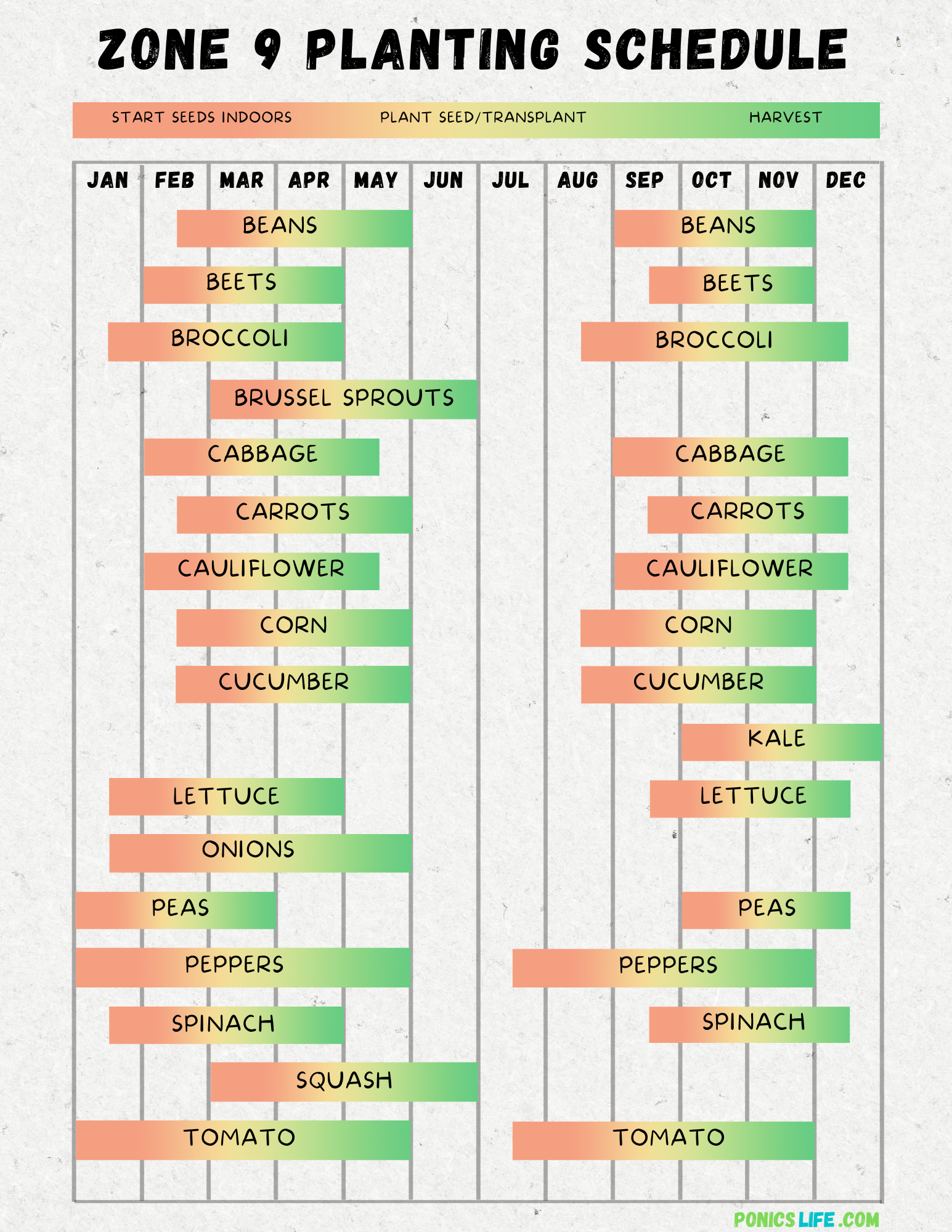 Zone 9 Planting Schedule and Calendar: A Quick Guide