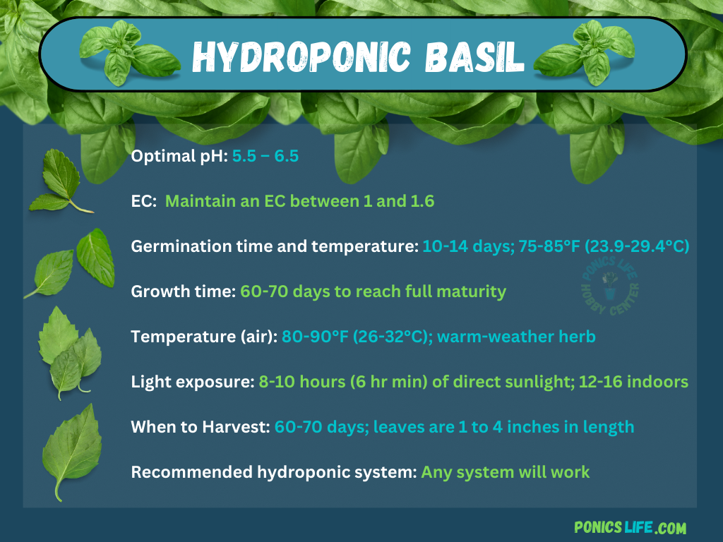 Hydroponic Basil A Complete Indoor and Outdoor Grow Guide