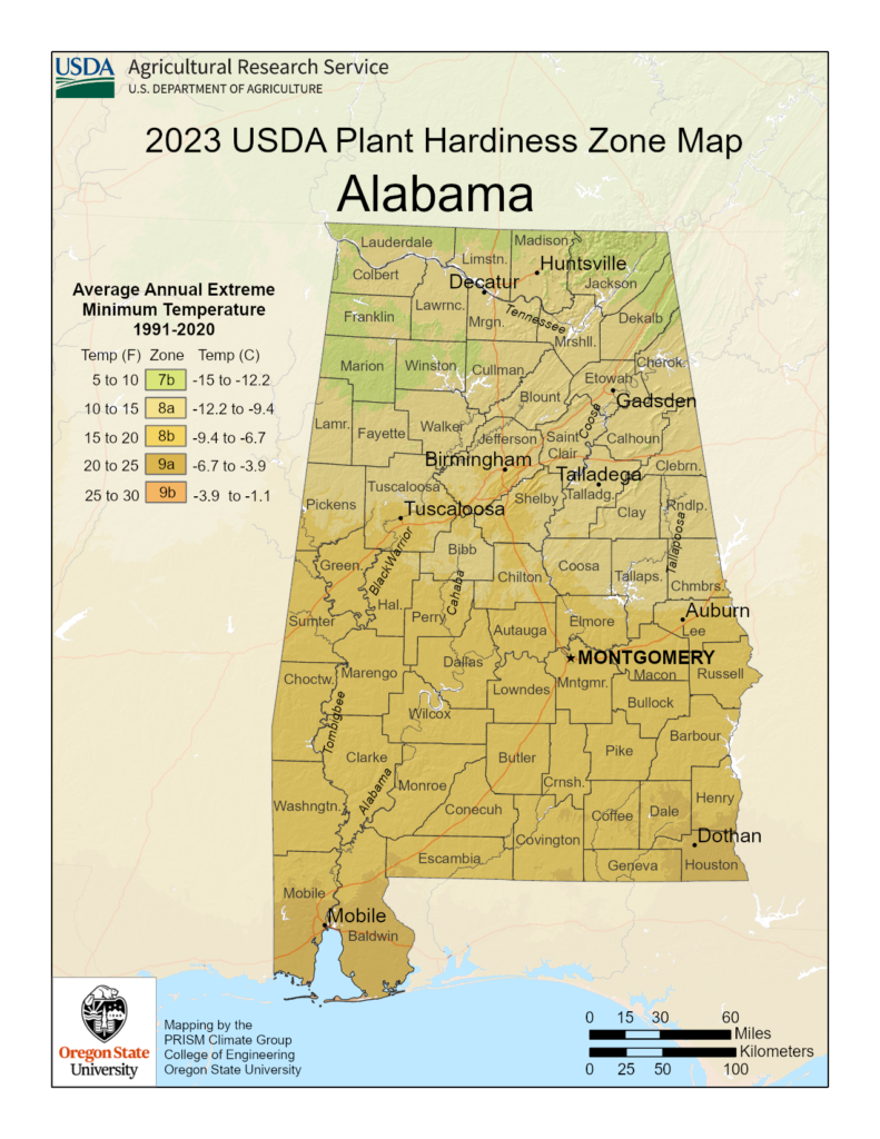 Shows growing zones in the State of Alabama with the USDA Plant Hardiness Zone Map.