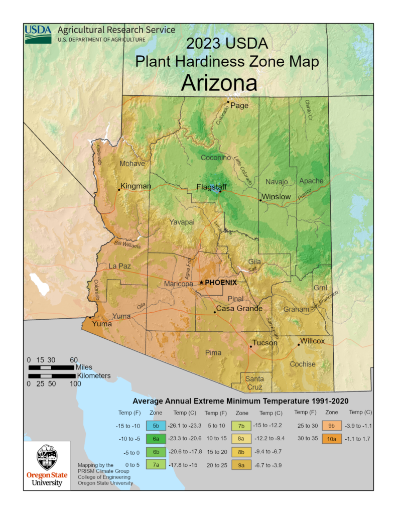 Shows growing zones for the State of Arizona with the USDA Plant Hardiness Zone Map. 