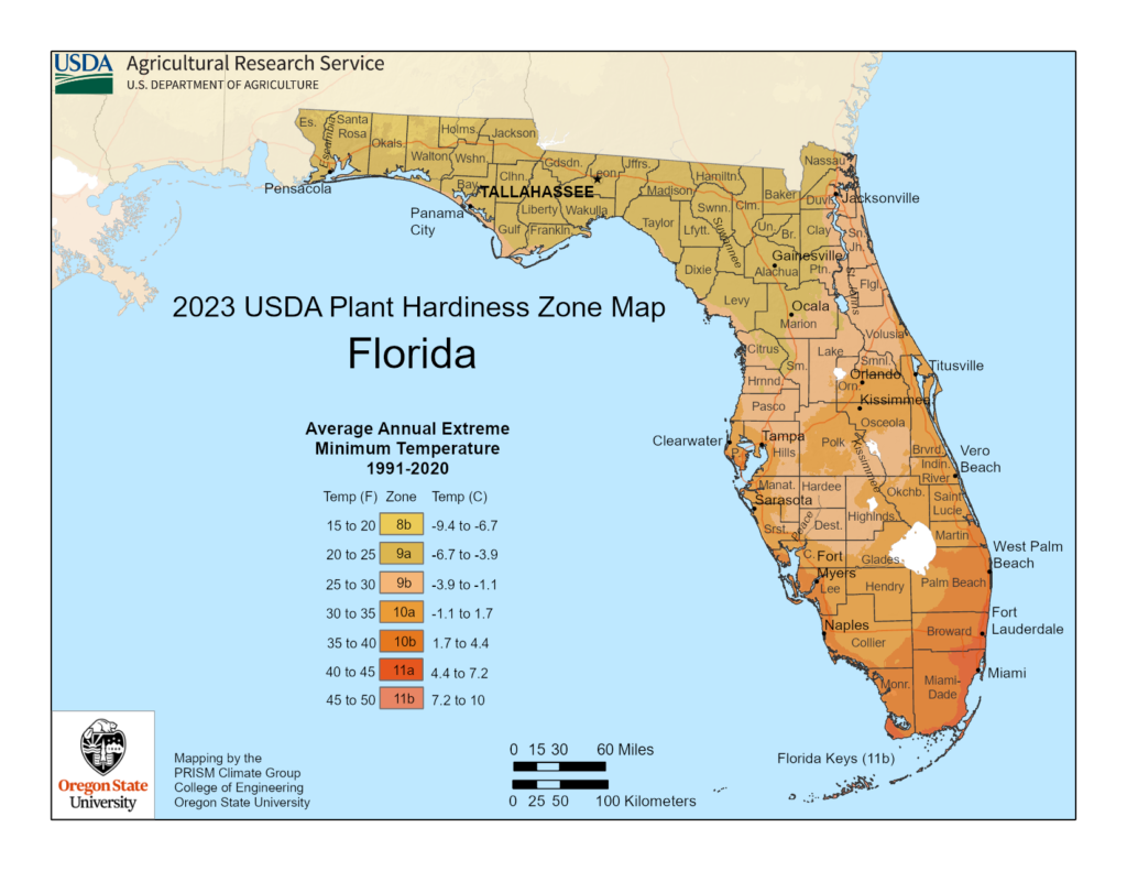 Shows growing zones in the State of Florida with the USDA Plant Hardiness Zone Map.