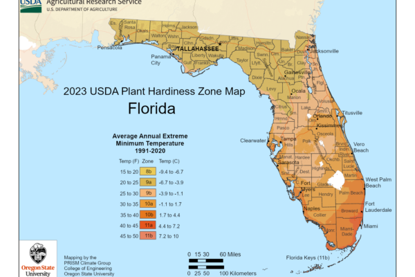 Shows growing zones in the State of Florida with the USDA Plant Hardiness Zone Map.