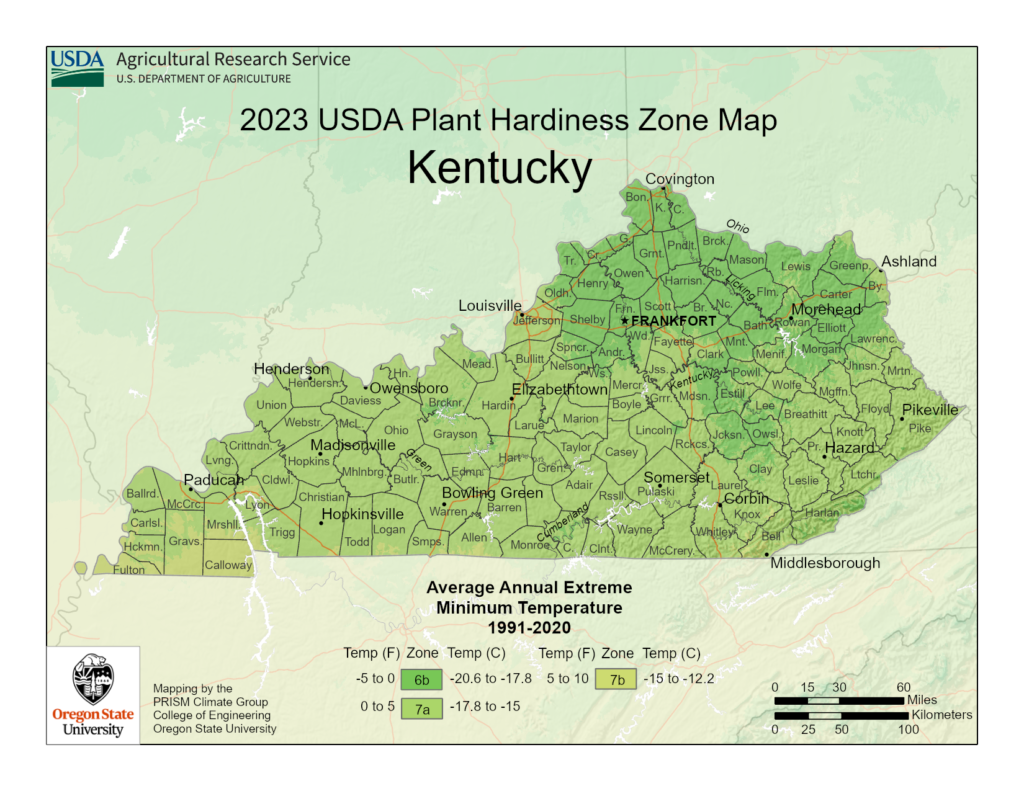 Shows growing zones in the State of Kentucky with the USDA Plant Hardiness Zone Map.