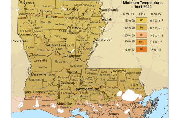 Shows growing zones in the State of Louisiana with the USDA Plant Hardiness Zone Map.