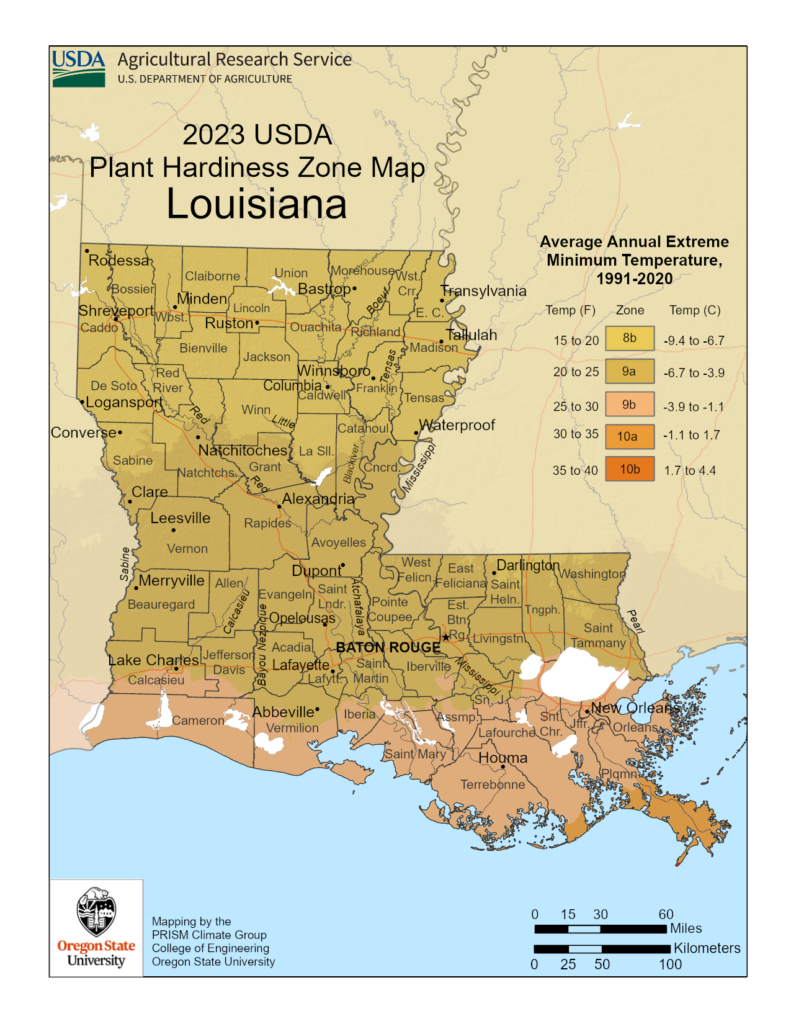 Shows growing zones in the State of Louisiana with the USDA Plant Hardiness Zone Map.