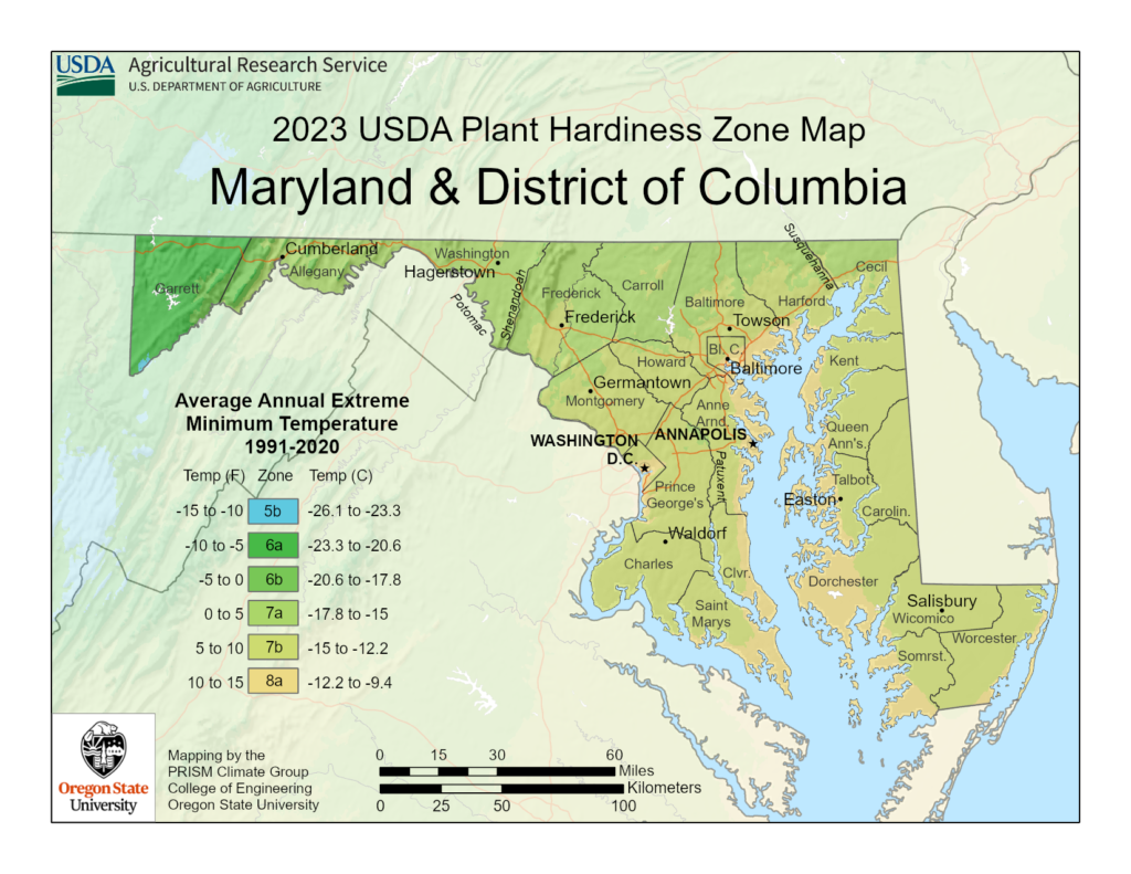 Shows growing zones in the State of Maryland with the USDA Plant Hardiness Zone Map.