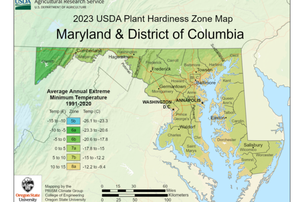 Shows growing zones in the State of Maryland with the USDA Plant Hardiness Zone Map.