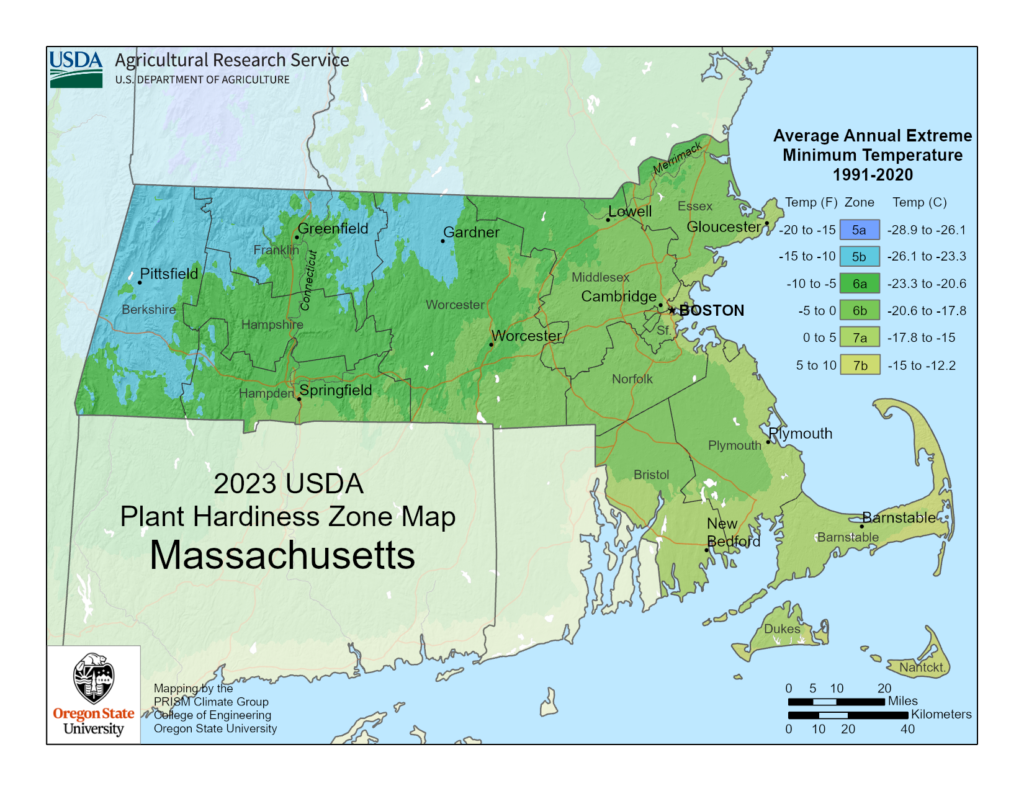 shows growing zones for the state of Massachusetts with the USDA Plant Hardiness Zone Map.