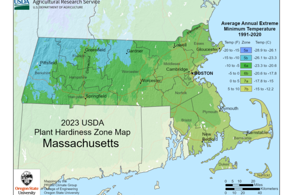 shows growing zones for the state of Massachusetts with the USDA Plant Hardiness Zone Map.