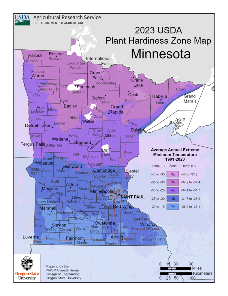 Shows growing zones in Minnesota with the USDA Plant Hardiness Zone Map