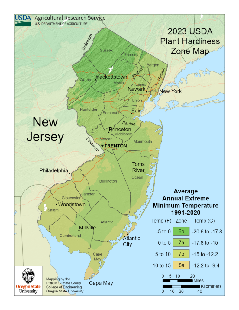 Shows New Jersey USDA plant growing Hardiness zones