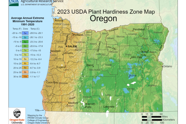 Shows growing zones in the State of Oregon with the USDA Plant Hardiness Zone Map.