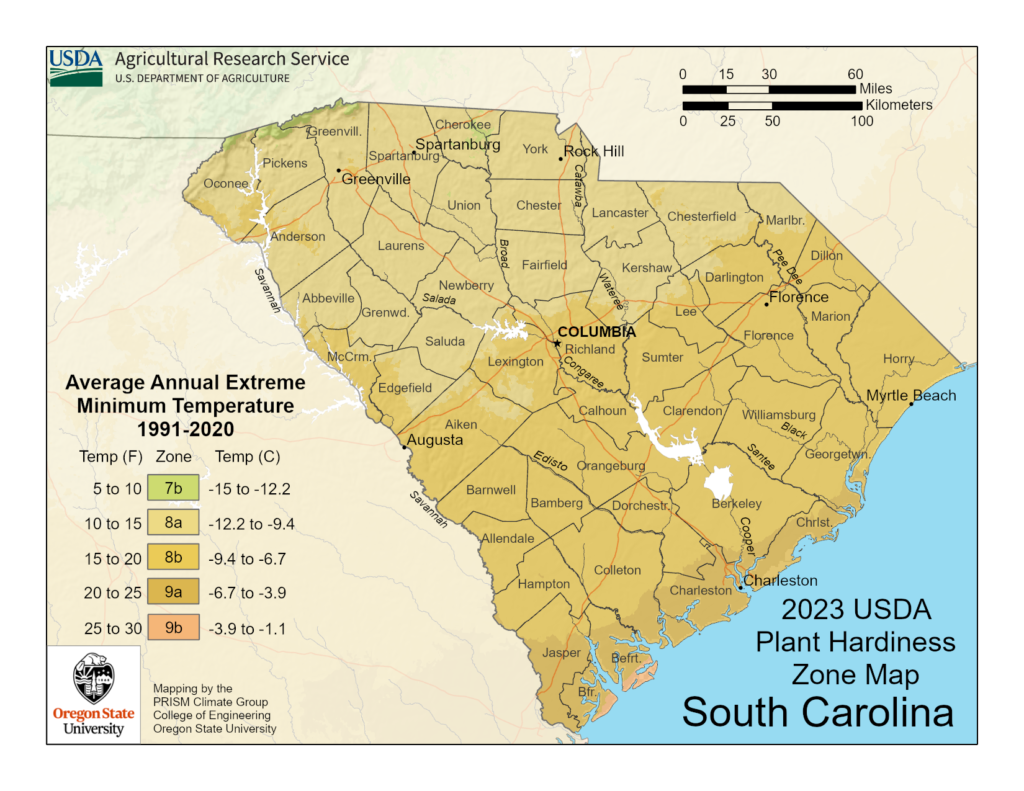 Shows growing zones in the State of South Carolina with the USDA Plant Hardiness Zone Map.