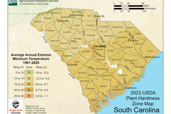 Shows growing zones in the State of South Carolina with the USDA Plant Hardiness Zone Map.