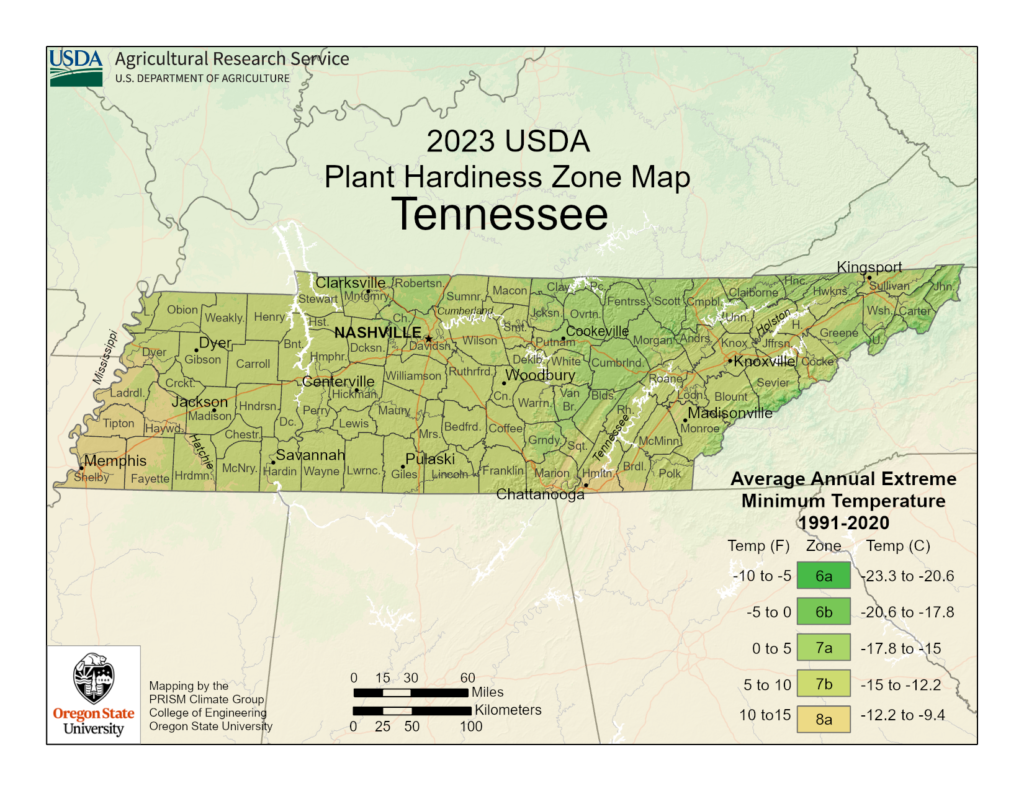 Shows growing zones in Tennessee using the USDA Hardiness Zone Map