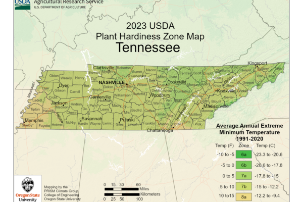 Shows growing zones in Tennessee using the USDA Hardiness Zone Map