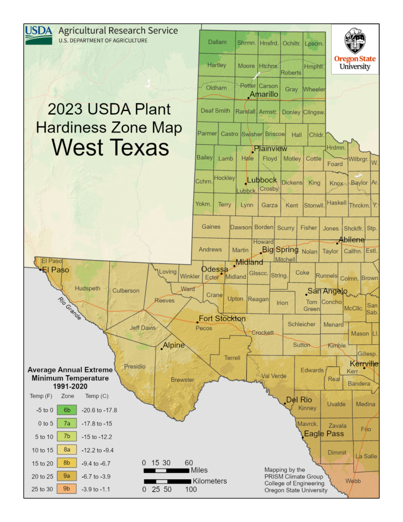 Shows growing zones in West Texas with the USDA Plant Hardiness Zone Map.