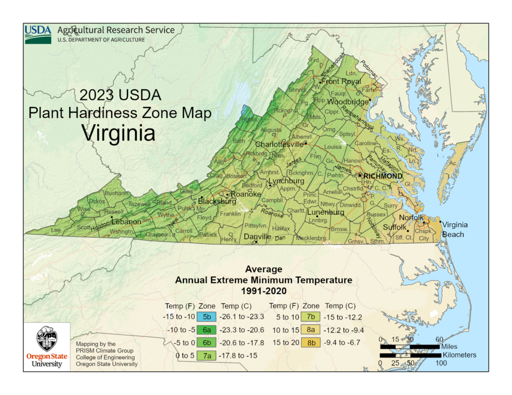 shows Virginia growing zones using the USDA Plant Hardiness zone map