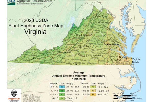 shows Virginia growing zones using the USDA Plant Hardiness zone map