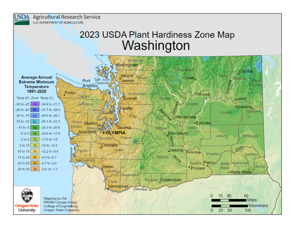 shows growing zones in the State of Washington using the USDA Plant Hardiness Zone Map.