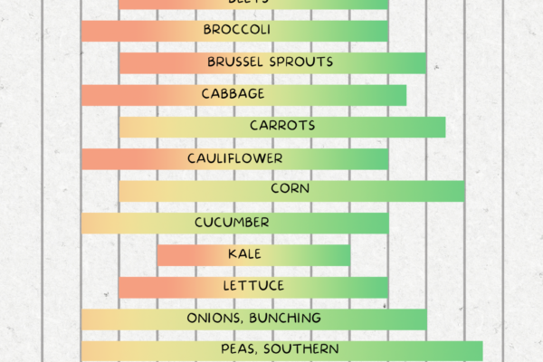 Shows Vegetables to Grow in Zone 10