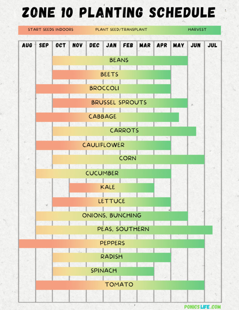 Zone 10 Planting Schedule and Calendar: A Quick Guide