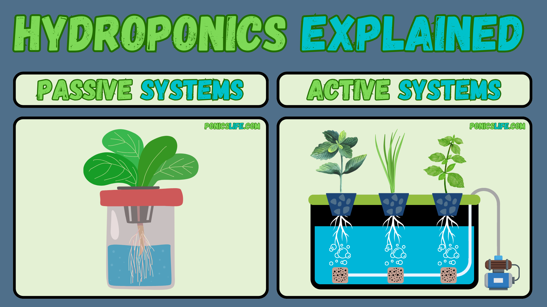 Shows active vs passive systems in hydroponics