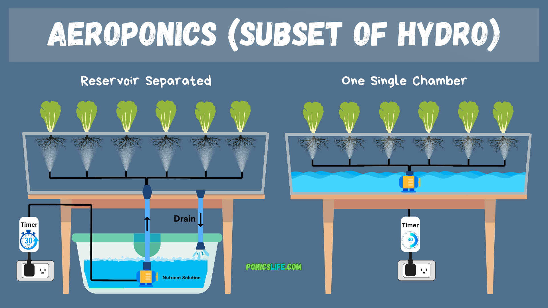 Shows two options for doing aeroponics