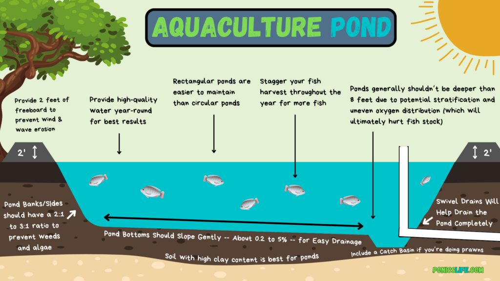 diagram of how pond aquaculture works