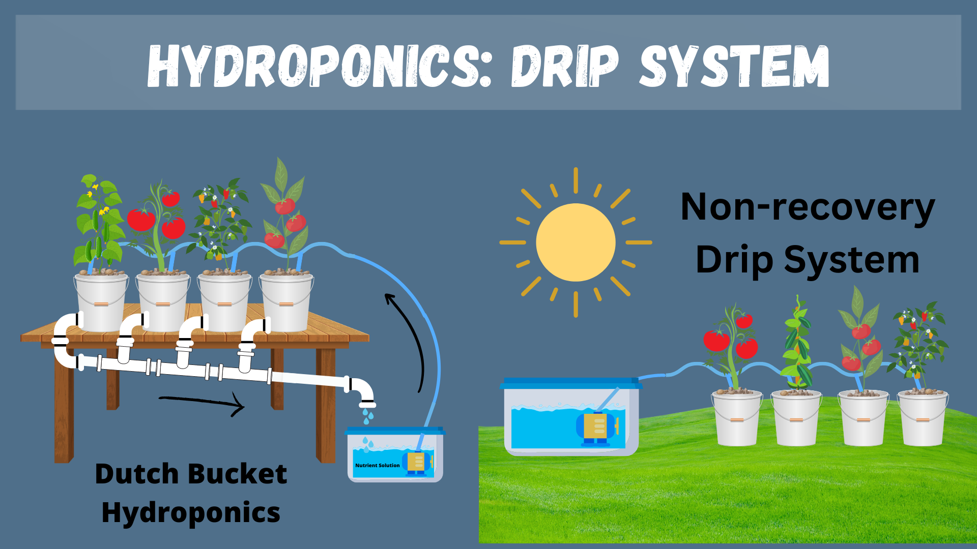 Drip System options