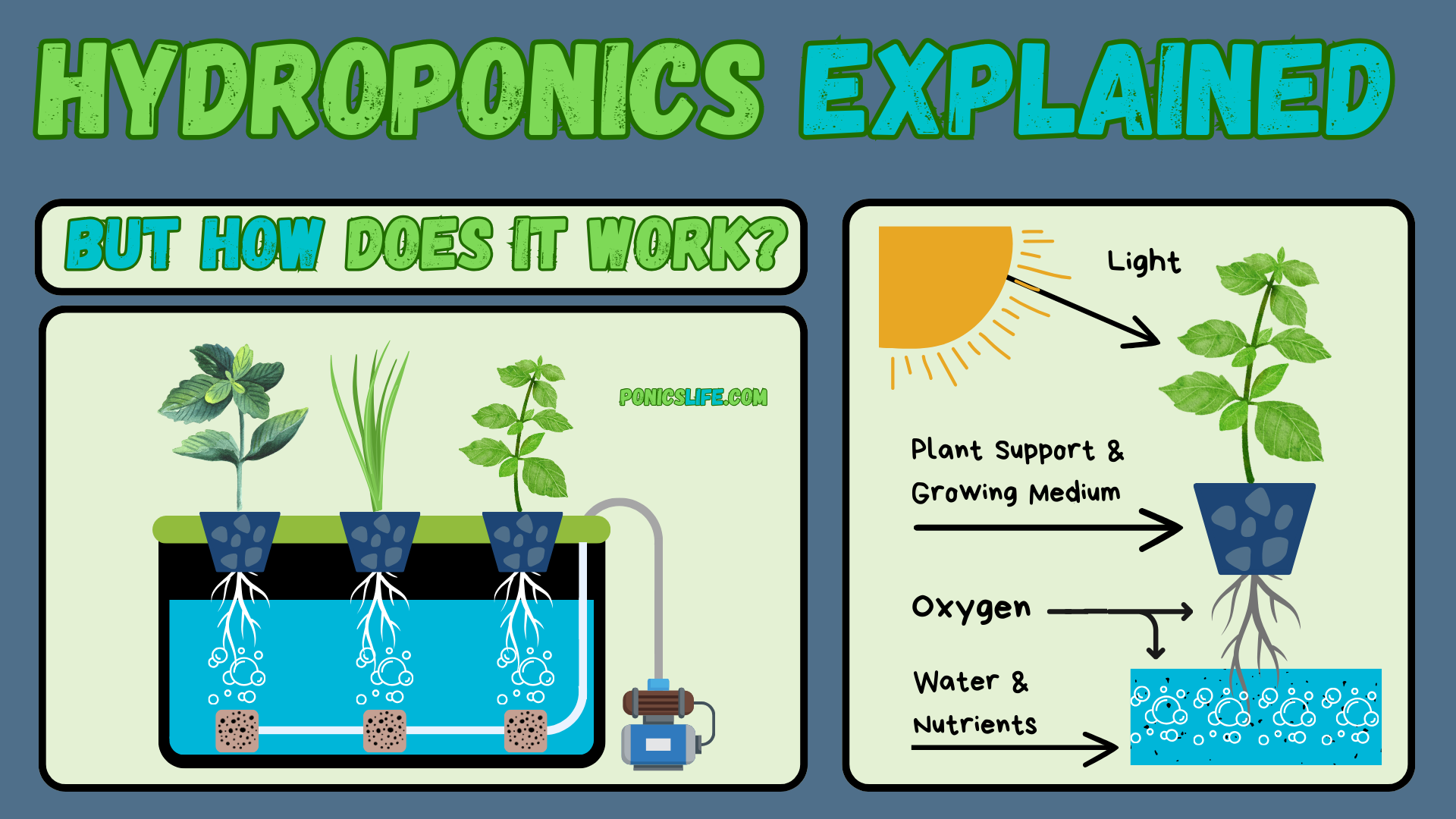 Visual of how hydroponics works