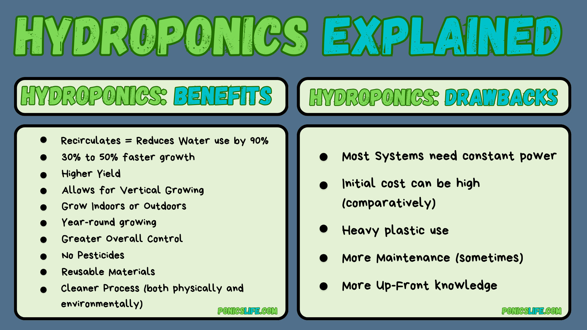 Shows advantages and disadvantages of hydroponics