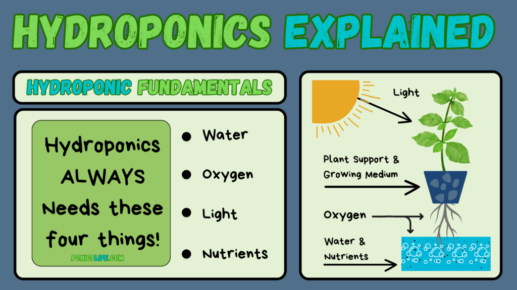 Shows the basic needs of a hydroponic system