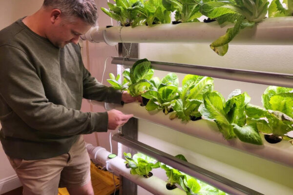 John Observing his NFT system