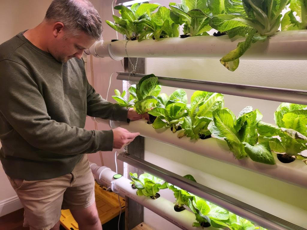 John Observing his NFT system