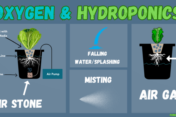 Different methods used to oxygenate water in hydroponics