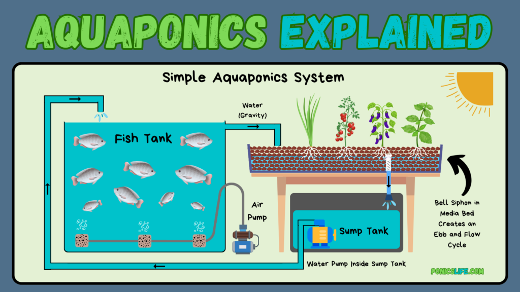 Simple aquaponics system design