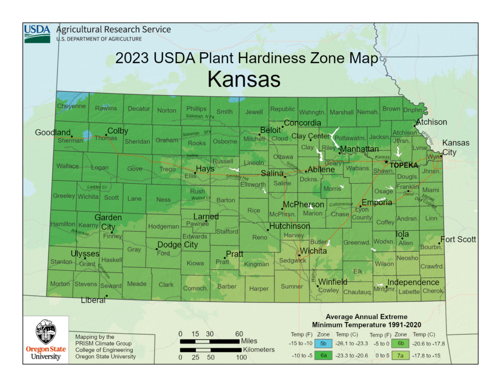 Kansas vegetable planting calendar a quick and easy guide