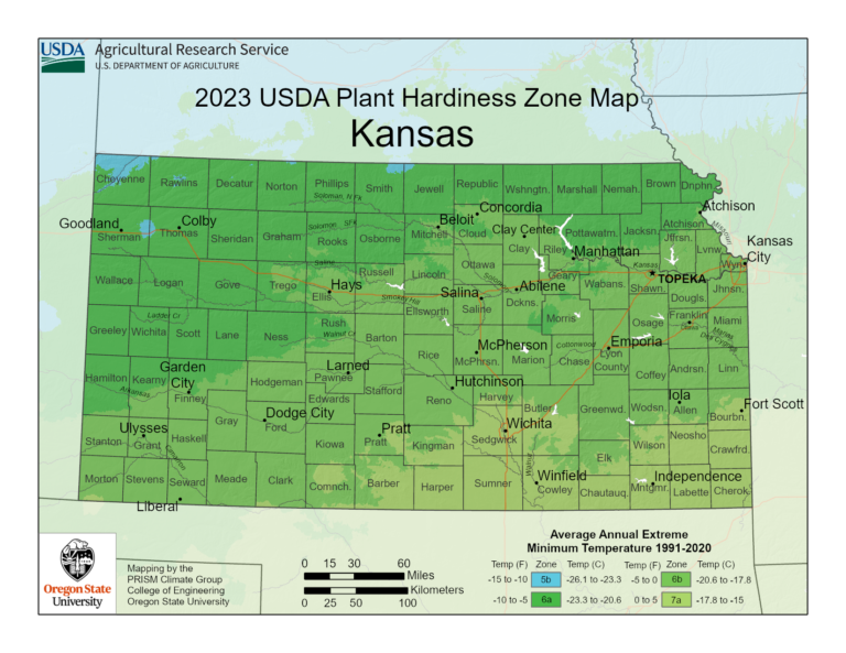 Kansas vegetable planting calendar a quick and easy guide