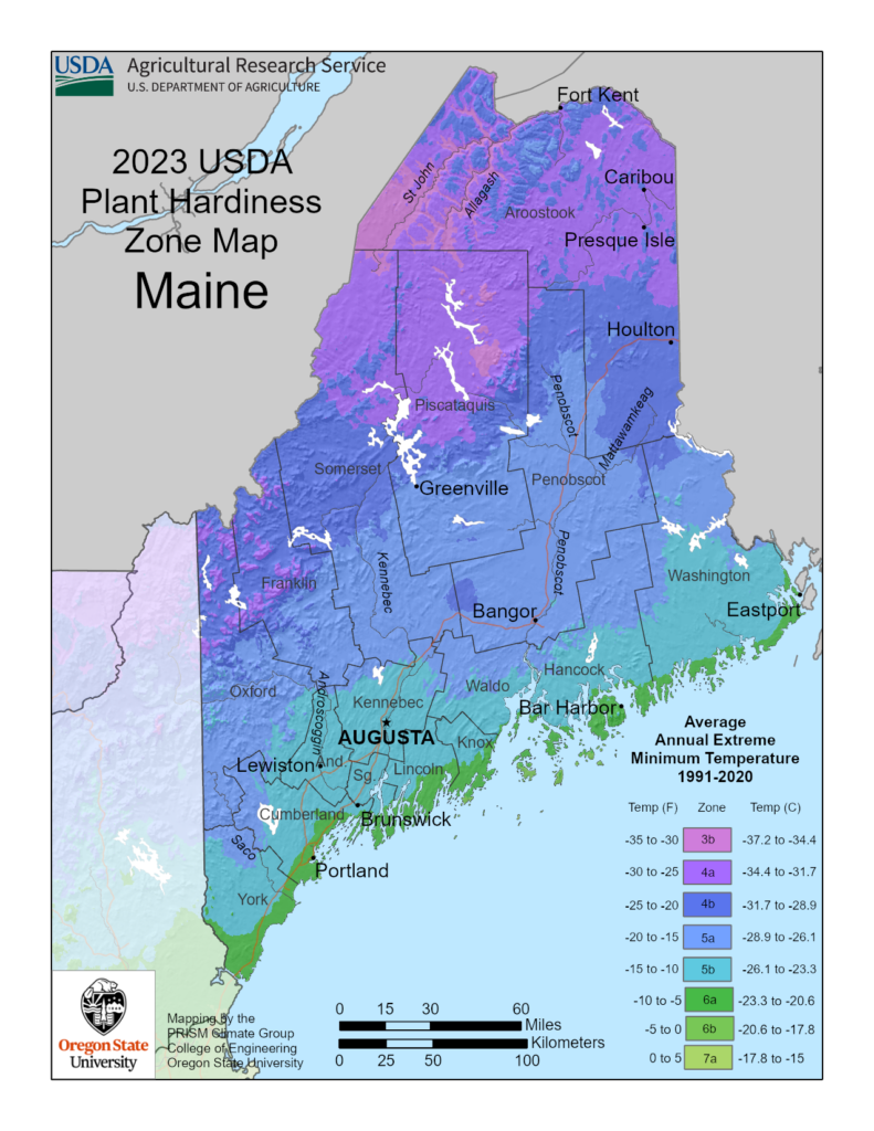 Shows growing and planting zones in Maine