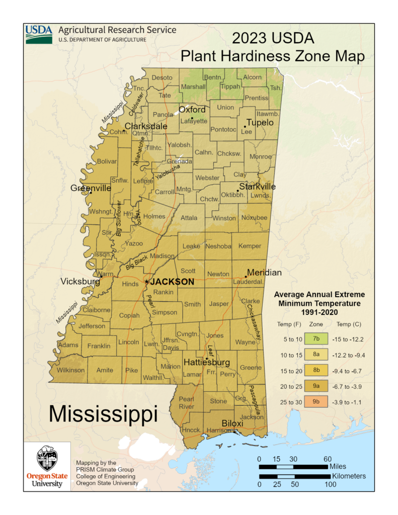 Shows planting and growing zones in Mississippi