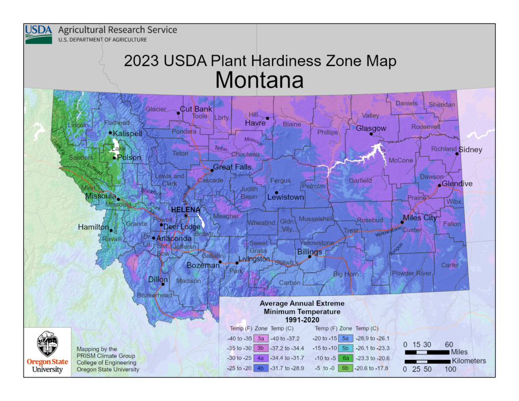 Shows growing and planting zones in Montana