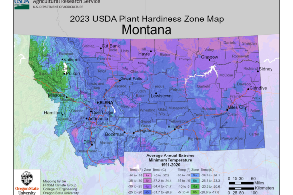 Shows growing and planting zones in Montana