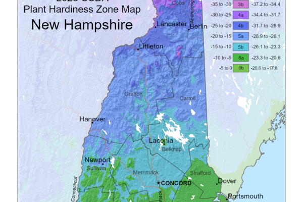 Shows growing and planting zones in New Hampshire