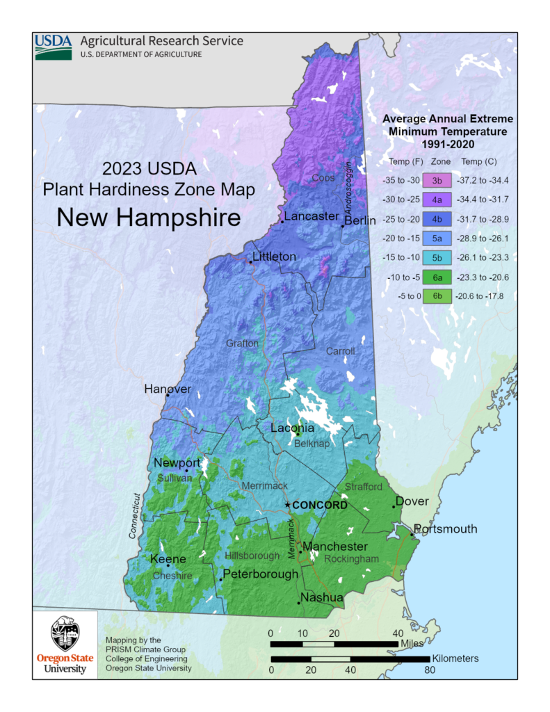 Shows growing and planting zones in New Hampshire